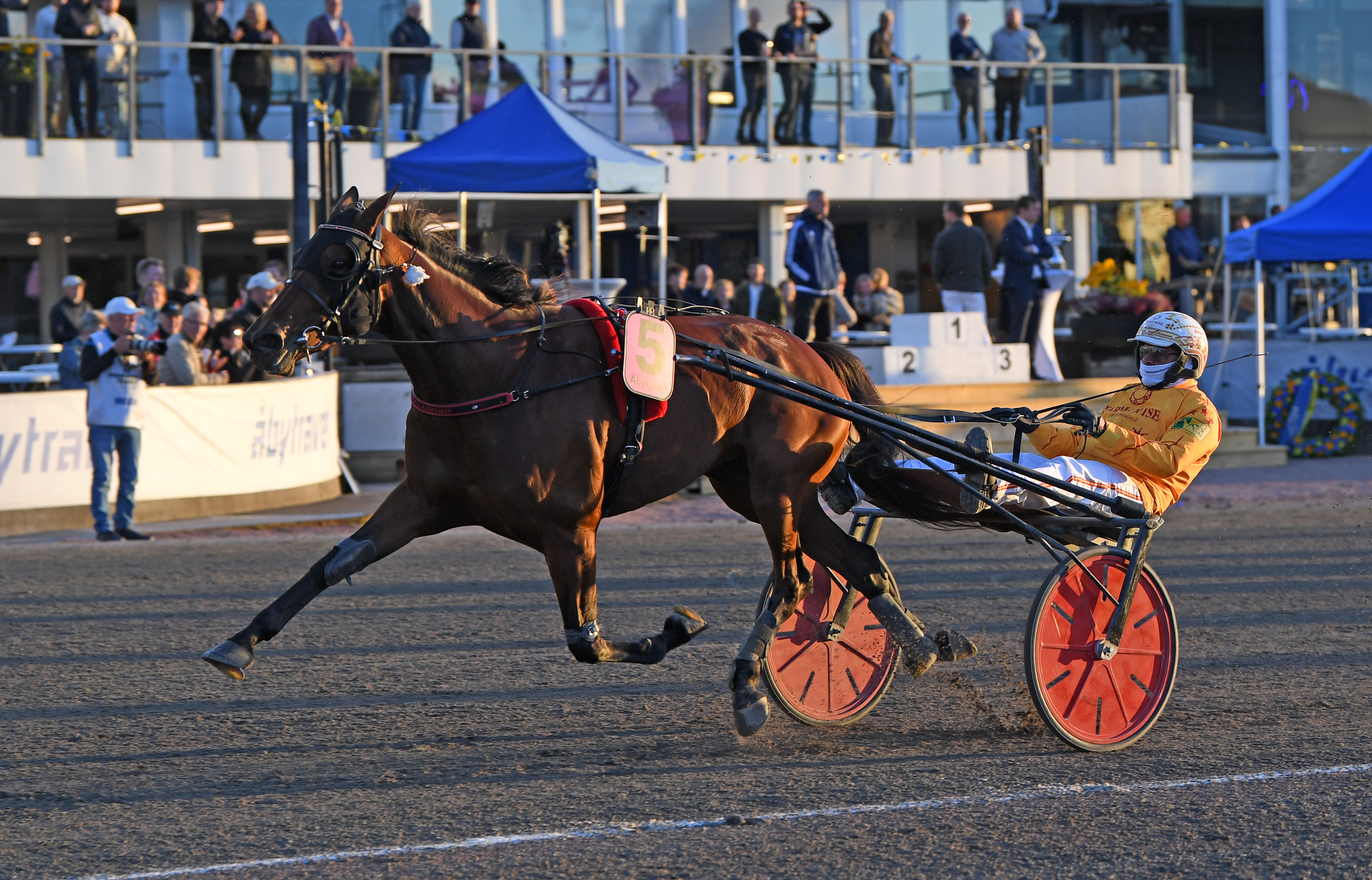 Yksi Ecstasyn uran 10 voitosta tuli viime syksynä T75-lähdöstä Åbysta Alessandro Gocciadoron ohjastamana.