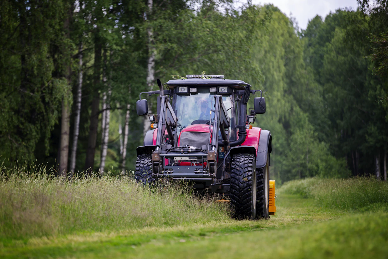 Vantaan kaupunki niittää säännöllisesti niittyjä estääkseen metsittymistä. Menetelmää käytetään myös vieraslajien torjunnassa. Ismo Piekkala levensi näytteeksi kulkuväylää Kaskelassa sijaitsevalla niityllä.