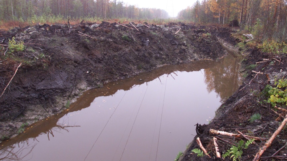 Metsätalouden uuden kannustinjärjestelmän suurimmat muutokset koskevat suometsiä, ojien kaivuuta ei jatkossa tueta.
