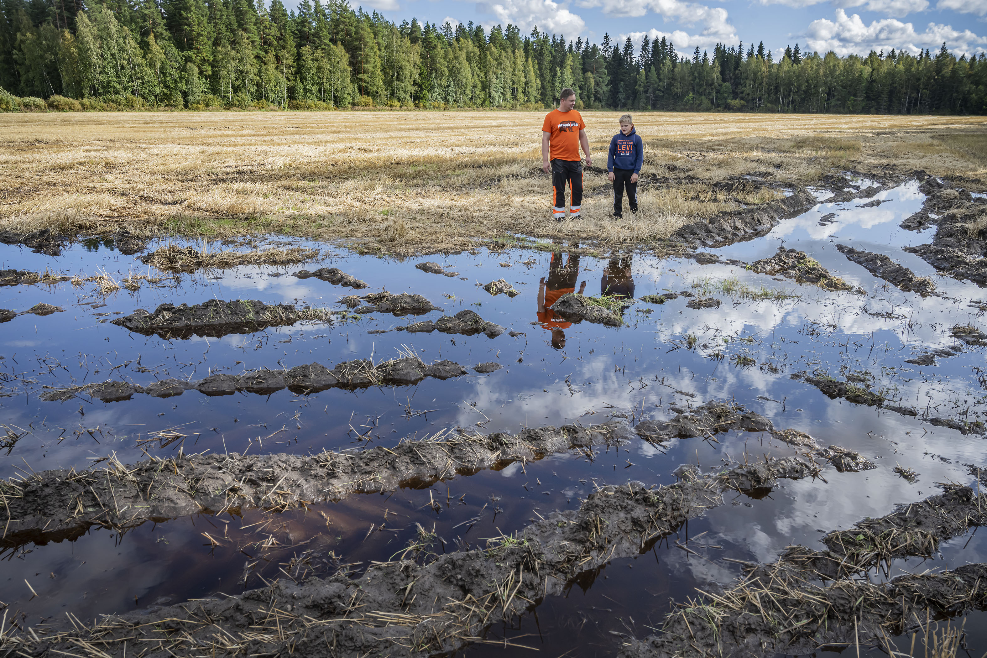 Peltojen märkyys ja pelloilla seisova vesi estää puinnit ja pilaa sadon Peräseinäjoella. Mika (vas) ja Masa Manni pellolla tutkimassa puinnin jälkiä.