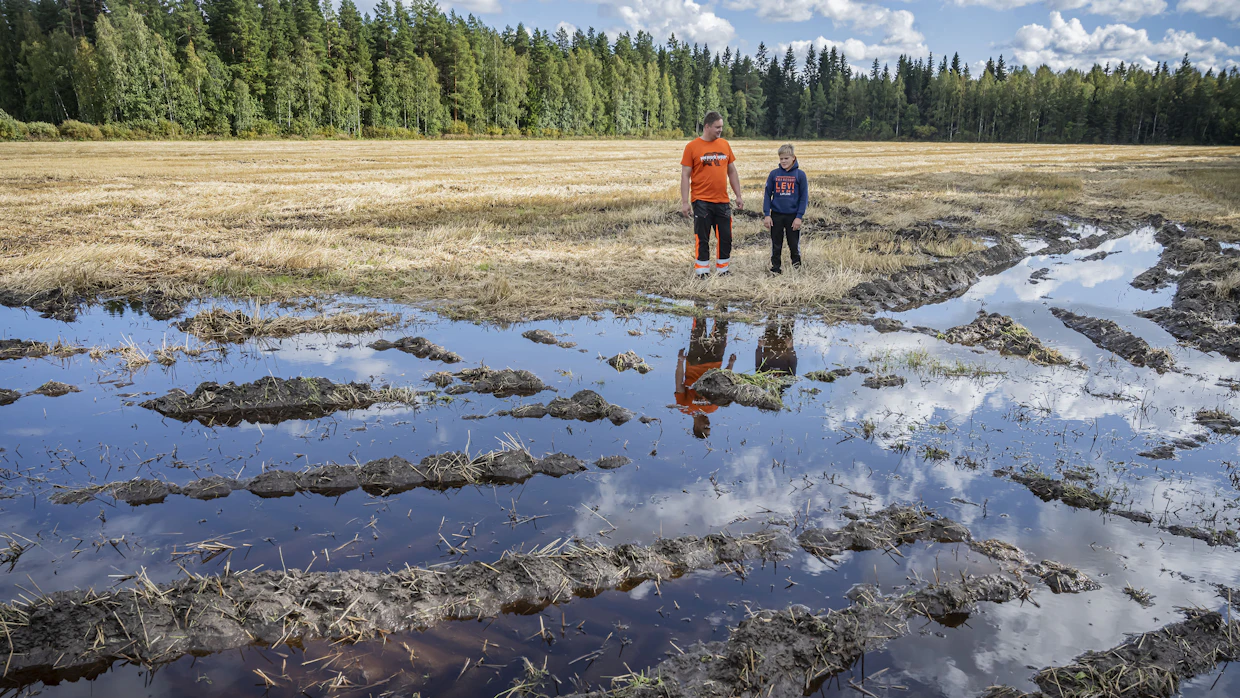 Tämä pelto saatiin puitua viime lauantaina, nyt pelto ei enää olisi kestänyt puimurin painoa. Syvät urat pellossa voivat tasoittua, jos muokkaukseen päästään syksyn aikana.