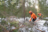 Ilmo Arosen vastuulla on yleensä puiden kaataminen. Pirjo Aronen karsii ja pätkii ne ja kaataa pienempiä puita myös itse.