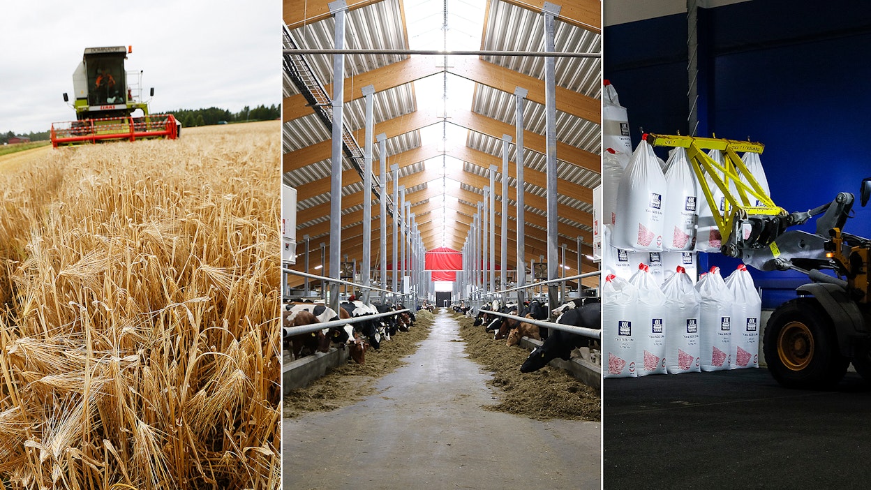 Viljan hinnat pysyvät melko vakaina. Maidon hinnan ennustetaan laskevan. Lannoitteet ovat reilusti viime vuotta kalliimpia.