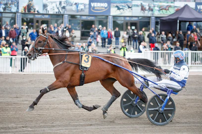 Viime vuoden derbyvoittaja Magical Princess lähtee Suur-Hollola-välieräänsä kakkosradalta.