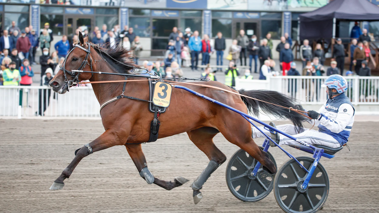 Viime vuoden derbyvoittaja Magical Princess lähtee Suur-Hollola-välieräänsä kakkosradalta.