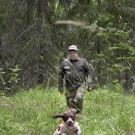 Eteläisen Suomen alueella valtion metsästysalueita on kuitenkin tällä hetkellä vain kolme. Ville Lahtinen on käynyt metsästämässä Evolla englanninspringerspanieli Fannin kanssa.