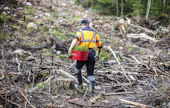 Metsänomistajien tulisi jatkossa tehdä Metsäkeskukselle uudistamisilmoitus, kun uudistamiseen liittyvät perustamistoimenpiteet on tehty.