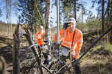 Henri Jakovuori (etualalla) ja Tino Aalto aloittavat mittaukset eteläsuomalaisessa kasvatusmetsässä. Täällä puusto on hakattu melko harvaksi.