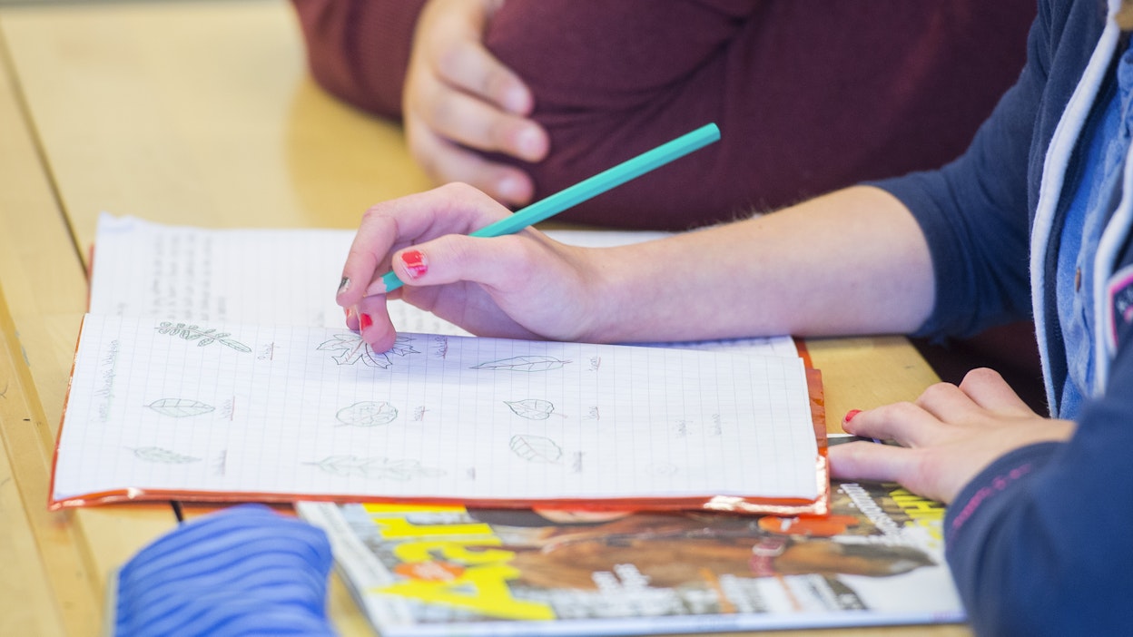 Opissa. Kuvituskuva.