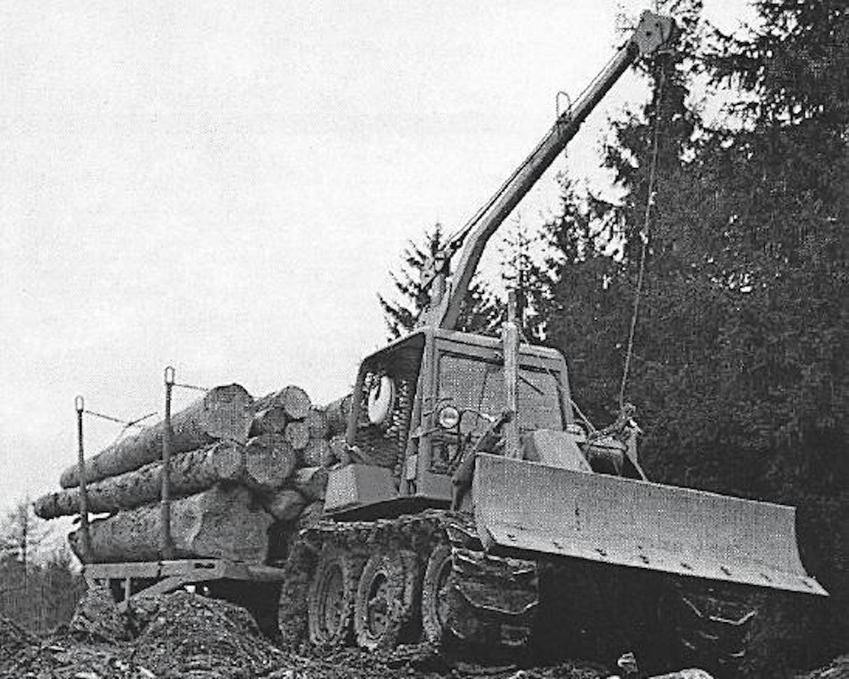 BM-Volvon ja ÖSA:n kehittämä Bamse oli ensimmäinen pohjoismaissa tehty metsätraktori. Ruotsin metsäviikoilla v. ‑57 ensiesittelynsä saanutta 3,6-tonnista ja 30-hevosvoimaista Bamsea voitiin puunkuljetuksen lisäksi käyttää maanmuokkaukseen, raivaukseen, lumitöihin ja paikallisvoimakoneena. Bamsen pohjana oli 2-sylinterinen BM-230 Viktor-maataloustraktori.