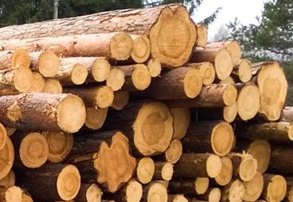 Metsänomistajat ovat aiempaa tyytyväisempiä metsänhoitoyhdistysten palveluihin. Kaksi viidestä syksyn Metsätutkaan vastanneesta metsänomistajasta aikoo myydä puuta ensi vuonna.