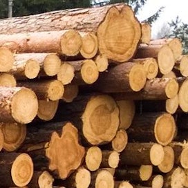 Metsänomistajat ovat aiempaa tyytyväisempiä metsänhoitoyhdistysten palveluihin. Kaksi viidestä syksyn Metsätutkaan vastanneesta metsänomistajasta aikoo myydä puuta ensi vuonna.