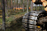 Päättäjien Metsäakatemian kurssiin kuuluu myös maastojakso. Arkistokuva on kymmenen vuoden takaa Kiimingistä Pohjois-Pohjanmaalta.