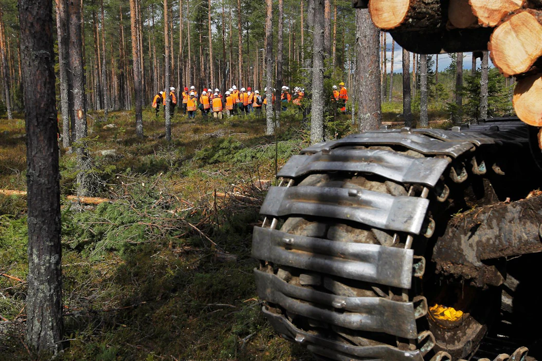 Päättäjien Metsäakatemian kurssiin kuuluu myös maastojakso. Arkistokuva on kymmenen vuoden takaa Kiimingistä Pohjois-Pohjanmaalta.
