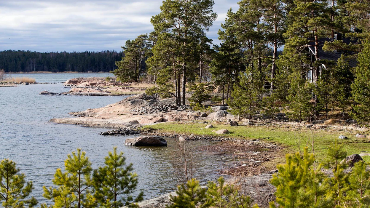 OP:sta mokkilainoja on kysytty tänä keväänä neljänneksen enemmän kuin vuosi sitten.