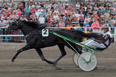 Sue's Photo on Toto76-vihjerivin ensimmäinen varma. Kuvassa rattailla on Mika Forss, mutta lauantaina ruunaa vauhdittaa Santtu Raitala.