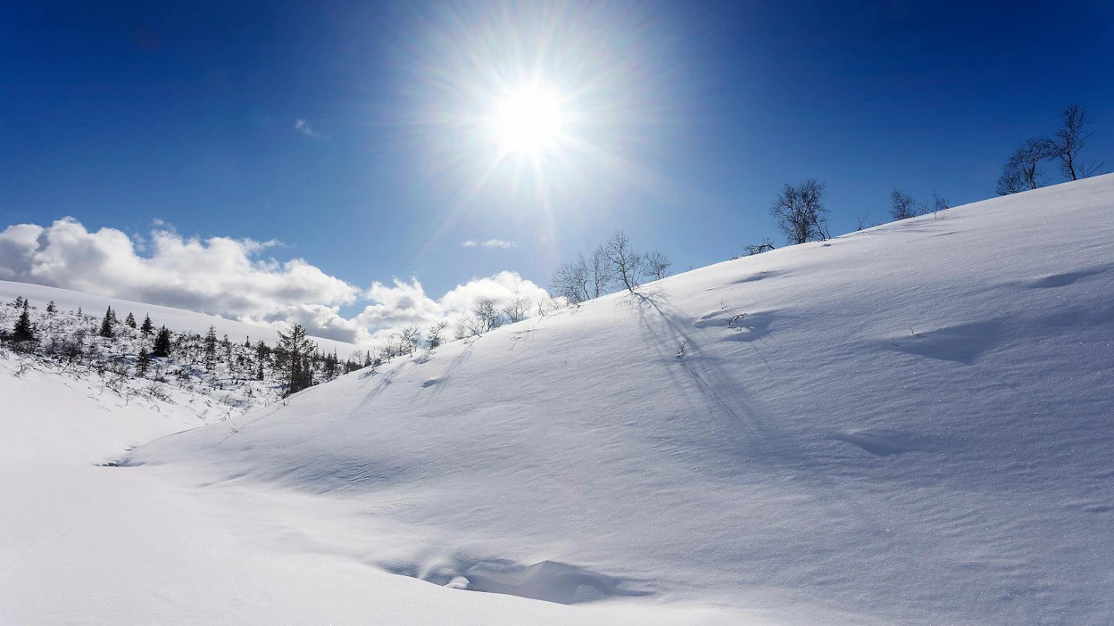 Ylä-Lapin suosituimpien alueiden kanalintuluvat myytiin muutamassa sekunnissa viime syksynä.