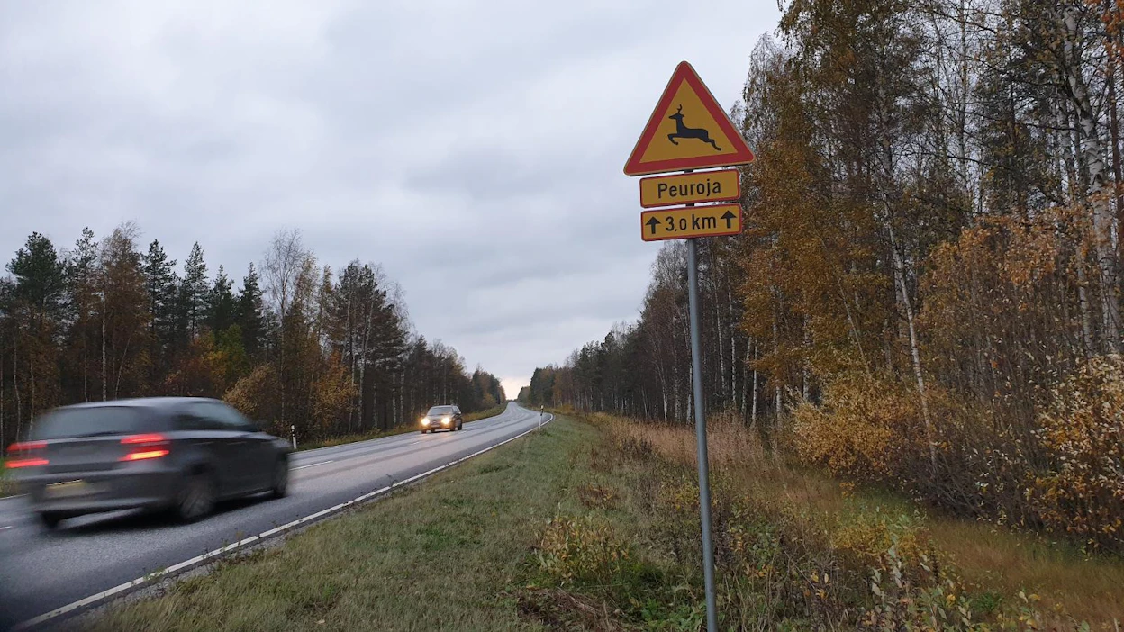 Autoilijoita varoitellaan liikkuvista eläimistä usein syksyisin, mutta keväälläkin liikenteessä kannattaa harjoittaa erityistä valppautta.