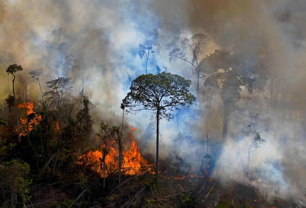 Noin 60 prosenttia Amazonin sademetsästä sijaitsee Brasilian alueella. Kuva elokuulta 2020. LEHTIKUVA/AFP