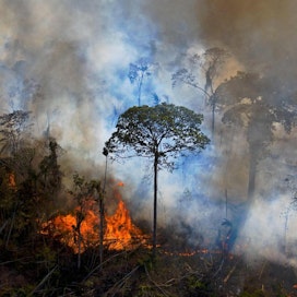 Noin 60 prosenttia Amazonin sademetsästä sijaitsee Brasilian alueella. Kuva elokuulta 2020. LEHTIKUVA/AFP