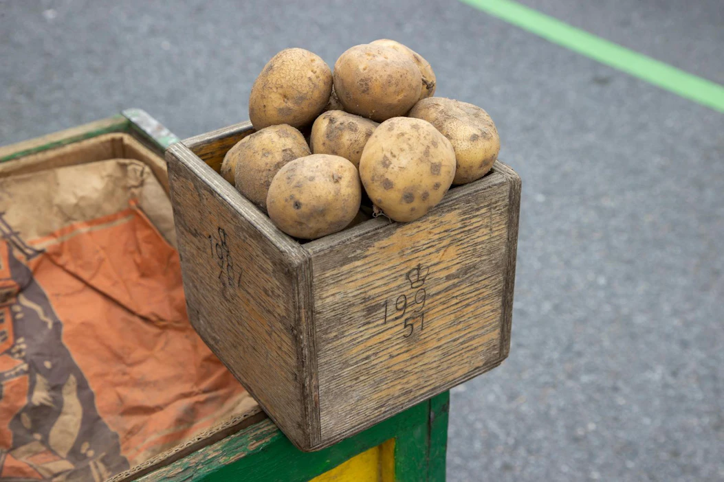 Perunatilojen kustannuksia nostavat muun muassa lannoitteiden ja pakkausmateriaalien kallistuminen.