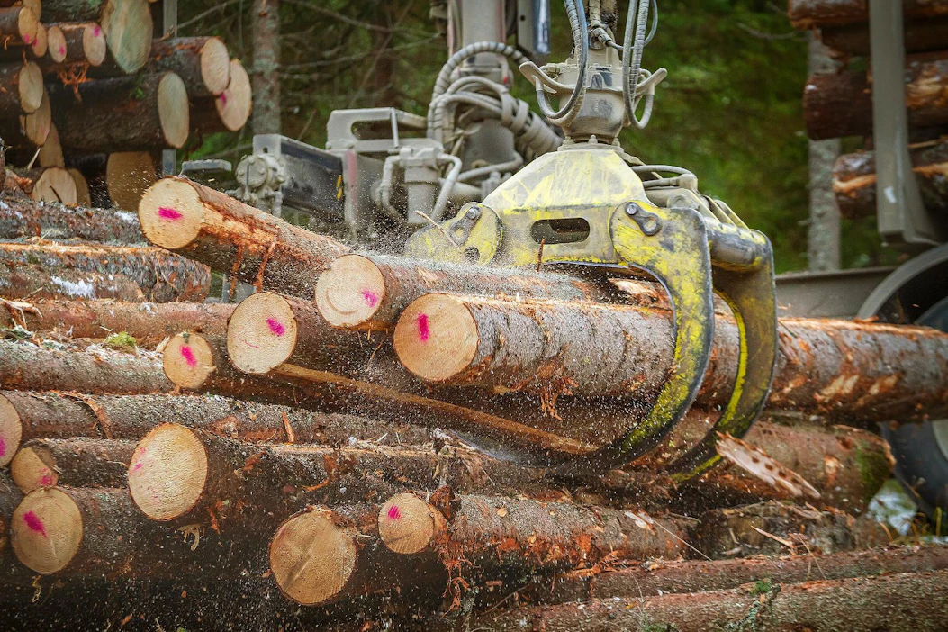 Binderholzin puunhankinta Suomessa on jatkunut Lieksan koronatapauksista huolimatta normaalisti.