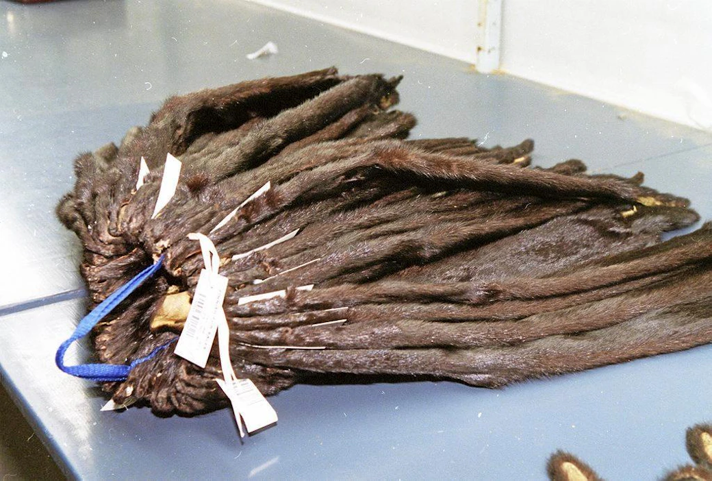 Minkin hintojen odotetaan laskevan edelleen, vaikka ylituotannosta on päästy lähemmäs kysyntää.