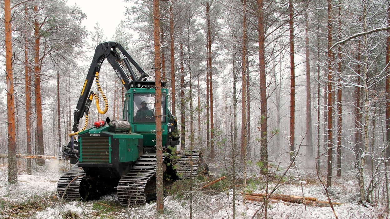 Kummassa on vika kun puu ei liiku, myyjässä vai ostajassa?