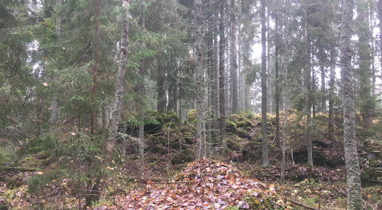 Murtoon pinta ja reunat ovat usein suurten kiven lohkareiden peitossa.