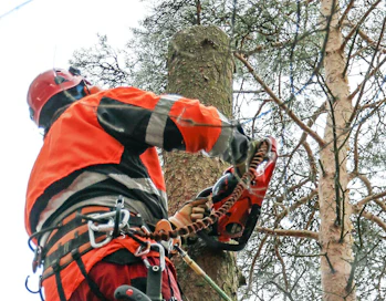 Kevyiden sahojen käyttökohteet ovat moninaiset. Etenkin pihapuukaatajien ”puukiipimistöissä” kevyt saha on mukava ja työtä keventävä apuri.