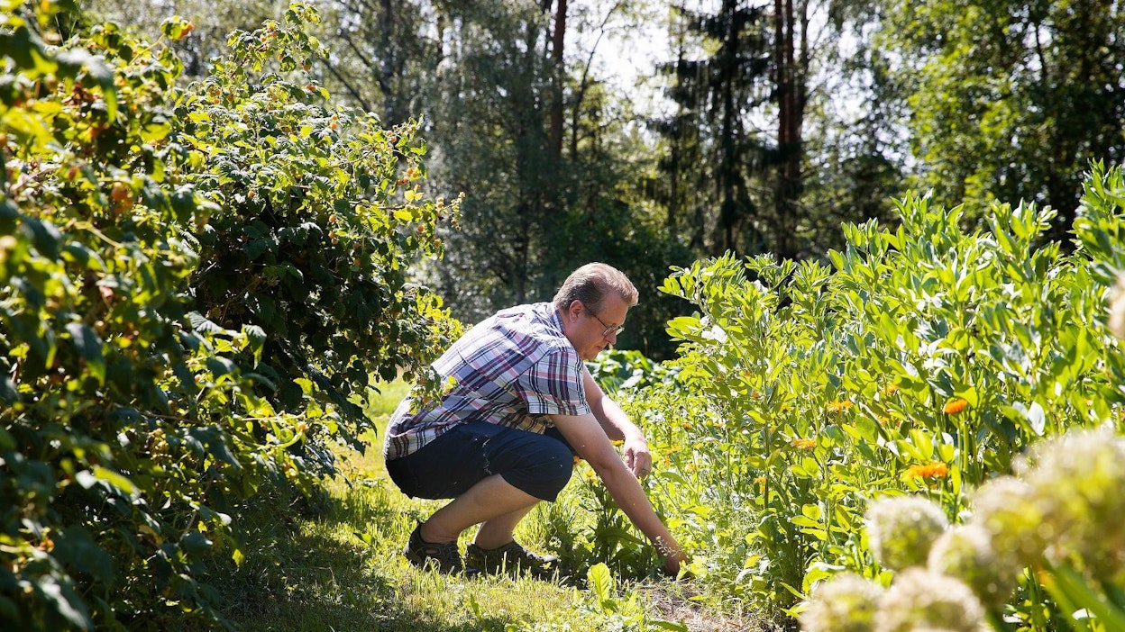 Puutarhanhoito täyttää kesäisin ympäristötutkija Ville Lähteen päivät. Perhetilan savimaa pursuilee elämää ja tuottaa Lähteelle ja hänen vaimolleen ruokaa omiin tarpeisiin.
