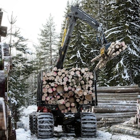 Kokoomuksen ilmasto-ohjelmassa vaaditaan, että metsiä hakattaisiin nykyistä vanhempina. Emeritusprofessori Matti Kärkkäisen mukaan tämä ajaisi metsäteollisuuden investointeja Suomen rajojen ulkopuolelle.