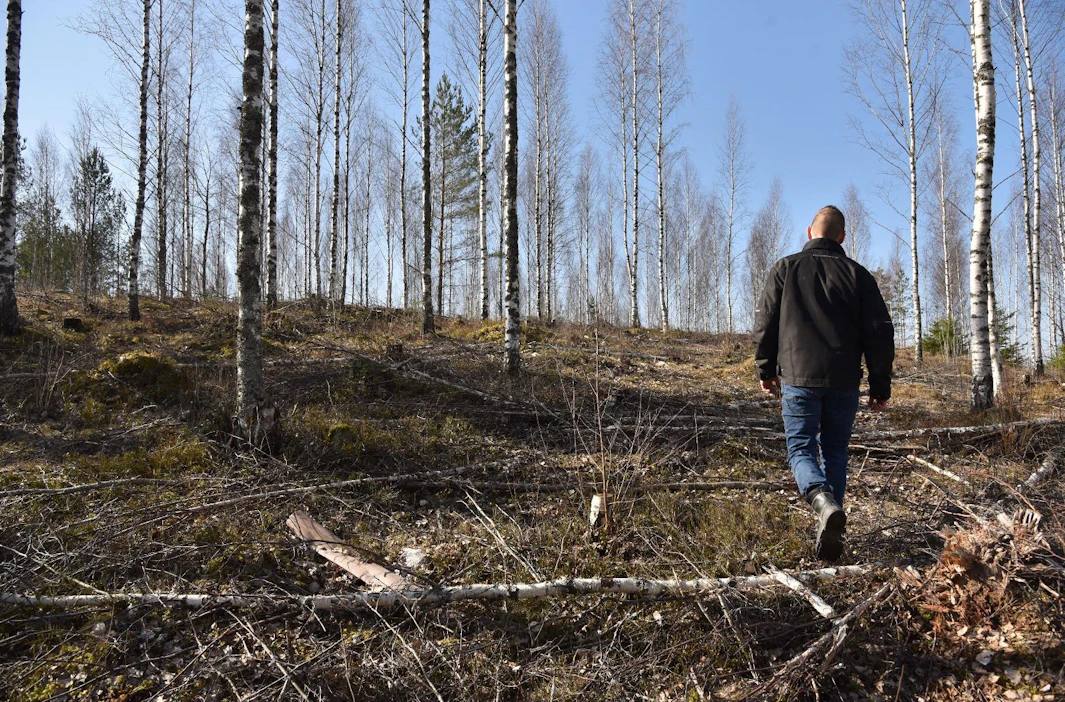 Metsänomistajaksi tullaan usein perinnön kautta. Metsää voi hoitaa itse tai hankkia apua ja neuvoja esimerkiksi metsänhoitoyhdistyksistä, Suomen metsäkeskuksesta tai muilta metsäalan toimijoilta.