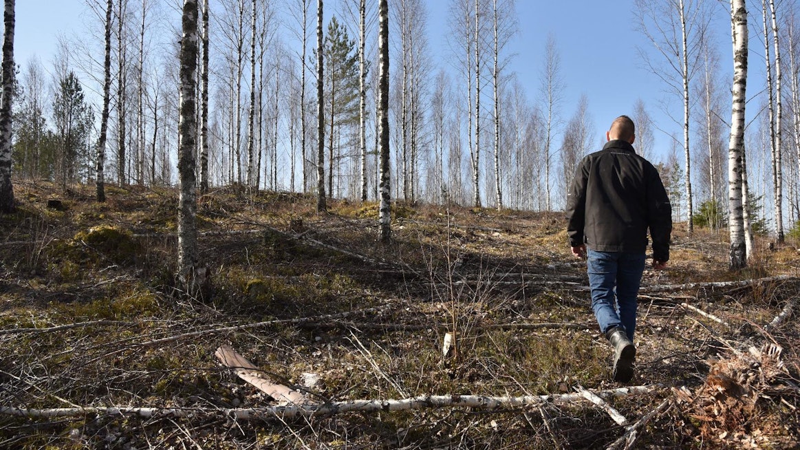 Metsänomistajaksi tullaan usein perinnön kautta. Metsää voi hoitaa itse tai hankkia apua ja neuvoja esimerkiksi metsänhoitoyhdistyksistä, Suomen metsäkeskuksesta tai muilta metsäalan toimijoilta.