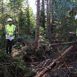 Metsä Groupin projektipäällikkö Mikko Välikoski ja operaatioesimies Esa Pienkellomäki tarkastavat korjuujälkeä Kuoppalan kylän leimikossa.