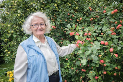 Ritva Rinta-Tassi viljeli miehensä Eskon kanssa sikatilaa. Nuorempi sukupolvi on suuntautunut marja-alalle. Rinta-Tassin omassa pihassa kasvoi valtava omenasato tänä vuonna.