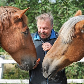 Lystilän Lento (vas.) ja Överbyn Salama ovat tarhakavereita. Risto Pirttimaa valmentaa molempia tähtijuoksijaruunia. Hän muistuttaa, että hevosten eteen tehdään paljon tiimityötä.
