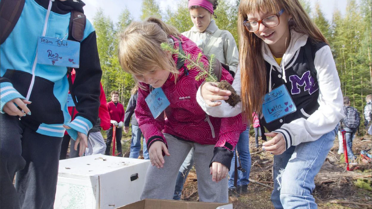 Askiston koulun Rea Hakkarainen, Annika Yli-Ketola ja Lotta Kotipalo valitsevat taimet ja pinkaisevat istuttamaan metsää koululaisten metsäviikolla Tuusulan Ruotsinkylässä. Markku Vuorikari
