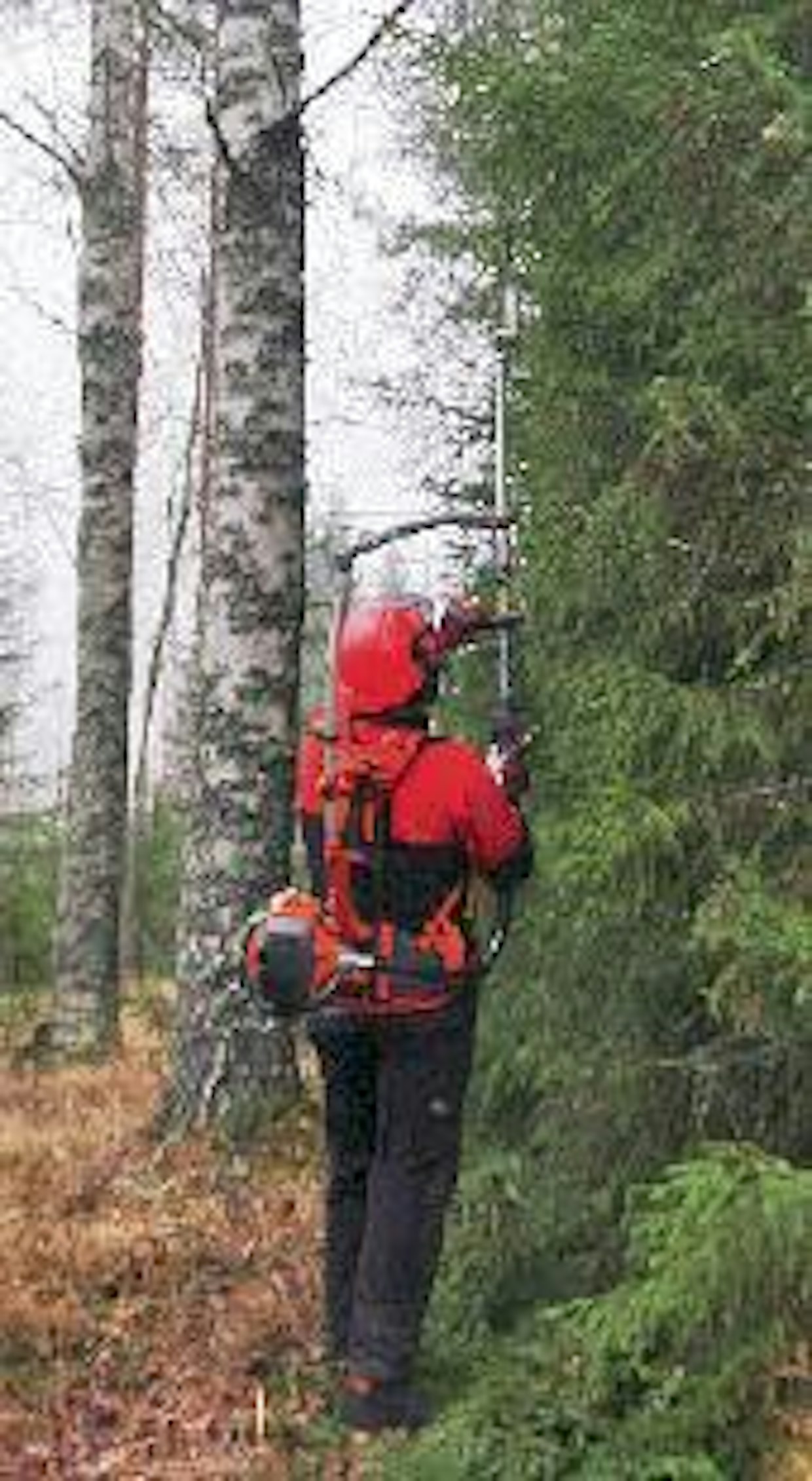 Pensasterällä ulottumaa ylöspäin on kolmisen metriä. Terä on säädettävissä eri kulmiin leikkauksen helpottamiseksi.
