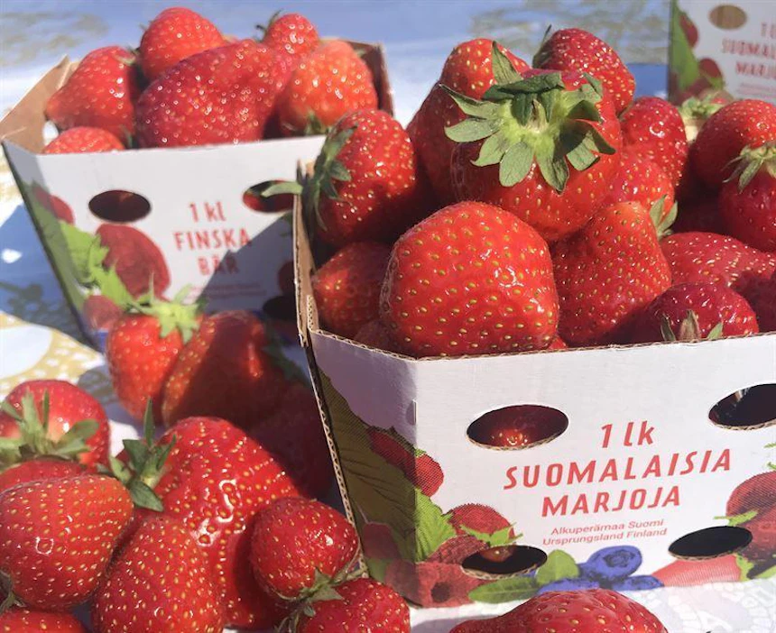 Uudenlaista kolmikerroksista pintakartonkia käytetään esimerkiksi elintarviketuotteissa ja verkkokaupan pakkauksissa, joissa vaaditaan tavallista parempaa kestävyyttä. Kartonki voidaan lisäksi kierrättää jopa seitsemään kertaan.