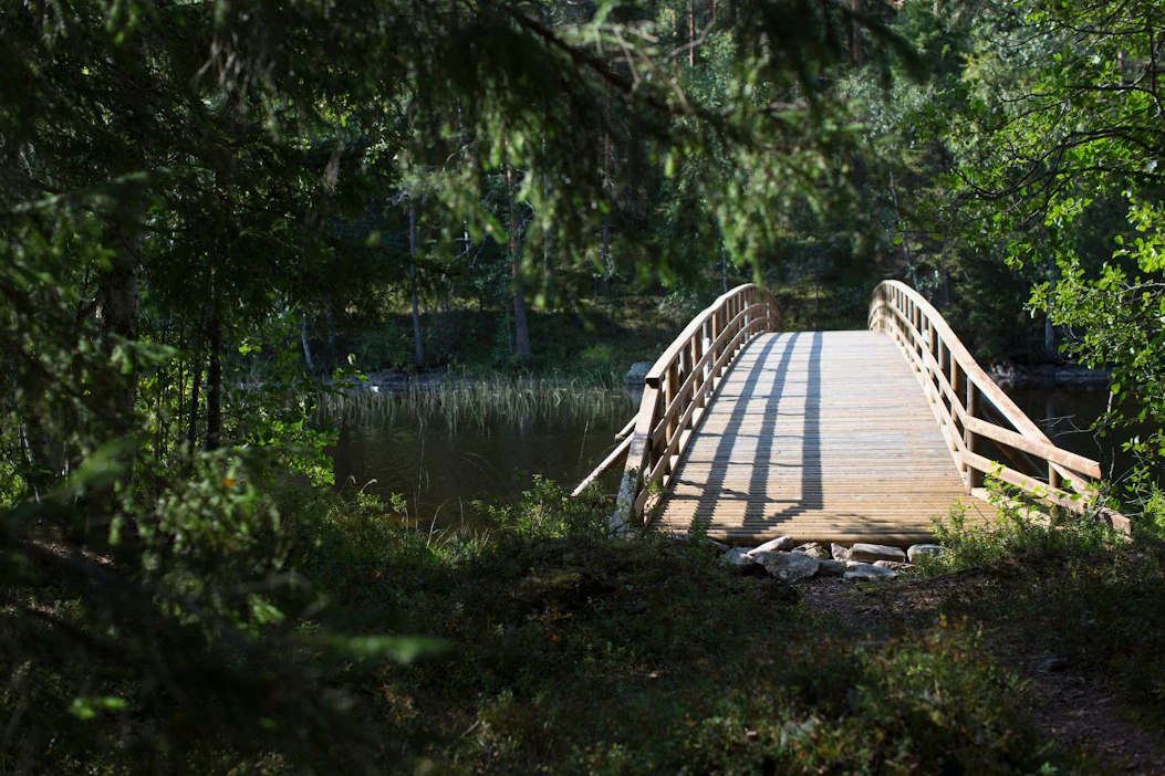 Lahovaurioiden syynä on se, että nykyiset kyllästeet eivät tarjoa riittävää suojaa lahottajasientä vastaan. Kuvituskuva.