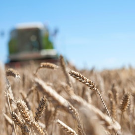 Vilja-alan yhteistyöryhmän kyselytutkimuksesta selviää, että vain kolmannes omaan käyttään viljaa viljelevistä laskee tuotannon kannattavuutta.