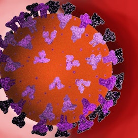 Yhteensä koko epidemian aikana on raportoitu 27 631 koronavirusdiagnoosia.