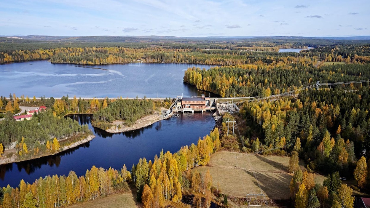 Fortumin tavoitteena on Oulujärven uhanalaisen järvitaimenen luonnonkierron vahvistaminen Leppikosken vesivoimalaitoksen ympäristössä Hyrynsalmen reitillä.