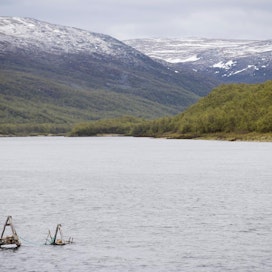 Jo ennen maiden välisten neuvotteluiden päättymistä Norja oli kieltänyt merialueellaan lohen kalastuksessa yleisesti käytetyn koukkuverkon käytön.