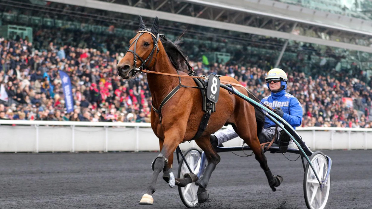 Björn Goop ajoi Readly Expressillä historiallisen Prix d'Amerique -voiton (kuva) reilu vuosi sitten. Tänä pyhänä valjakko valloitti Ranskan Rivieran!