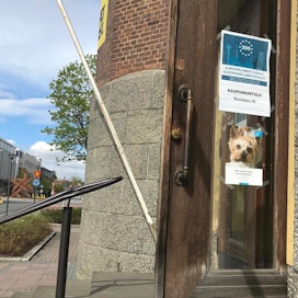 Ovet ovat auki äänestyspaikoilla tänään kello 20.00 asti. Tästä ovesta pääsee äänestämään Joensuun kaupungintalon äänestyspaikalle.