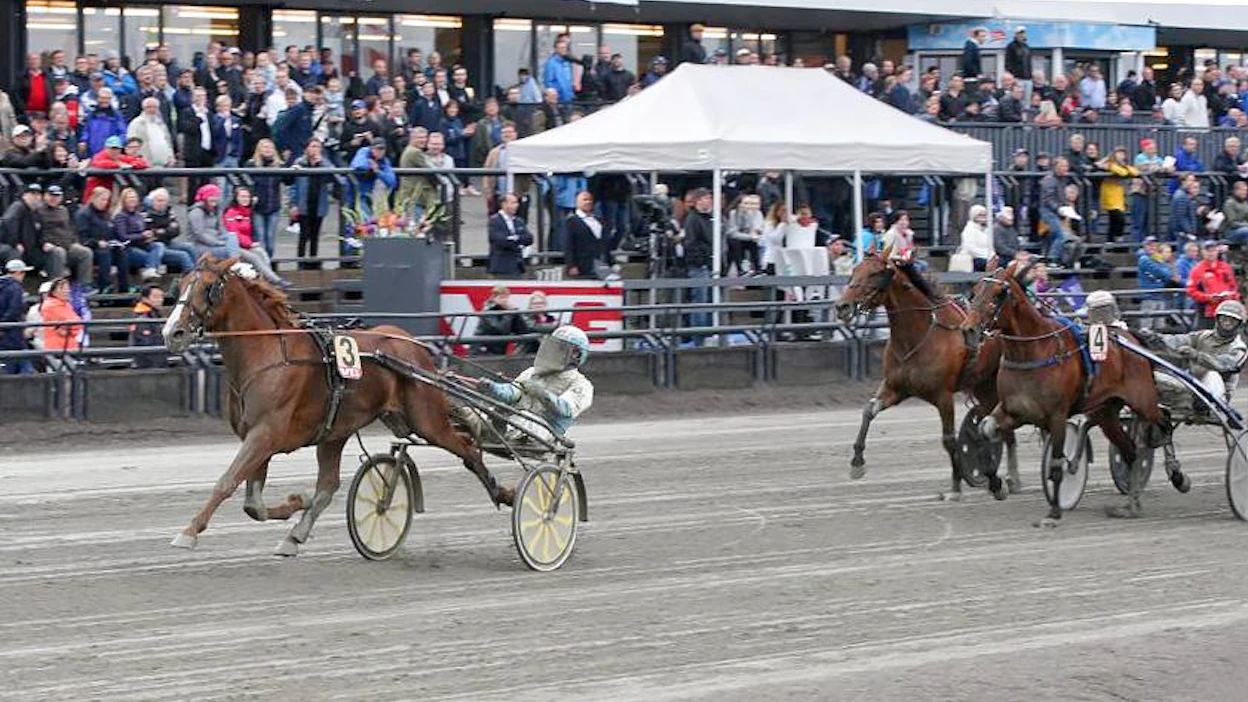 Turno Di Azzurra juoksee lauantaina ensimmäisen starttinsa Nurmosten tallista. Ori tykitti kaksi vuotta sitten Oslon Energima Cupin voittoon Örjan Kihlströmin ajamana.