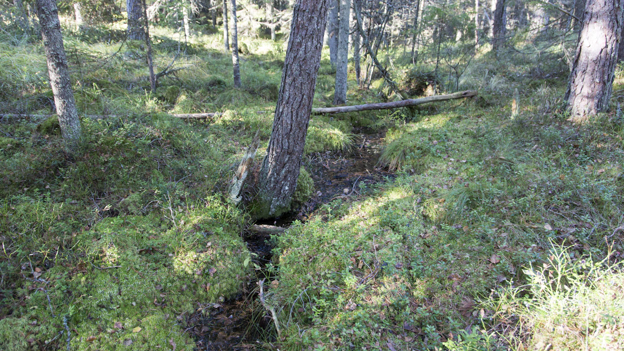 Vaikka vesien kulkua voi ojista ja puroista pitkälle päätelläkin, voi olla mielenkiintoista tietää, miten kaukaa ja eri puolilta tiluksilla virtaavat vedet saavat alkunsa.