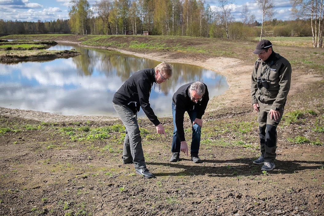 Alavudenjärven kunto kohenee ja maisemat kaunistuvat – nämä kolme kätevää  keinoa tepsivät muuallakin - Uutiset - Maaseudun Tulevaisuus